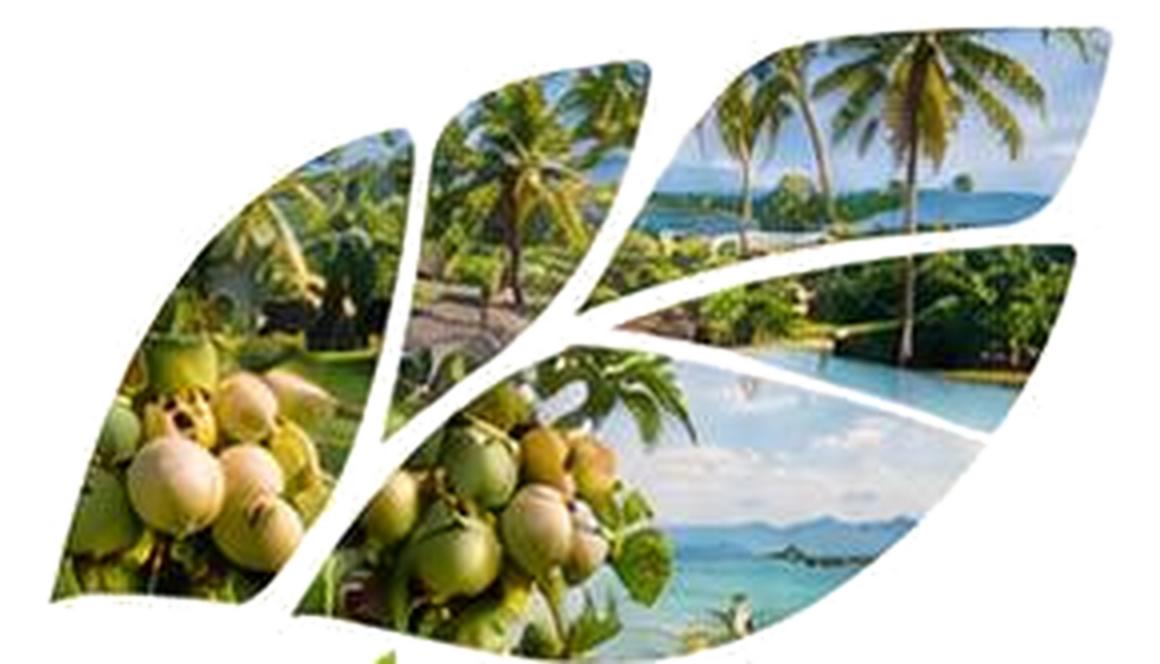 Collage of coconuts, palm trees and a tropical coastline shaped like a leaf