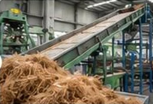 Conveyor line processing coir fiber
