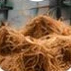 Coir fiber after cleaning and processing