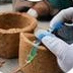 Inspector checking a coir pot with gloved hands