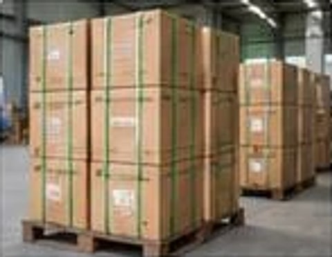 Cartons on pallets checked before shipment