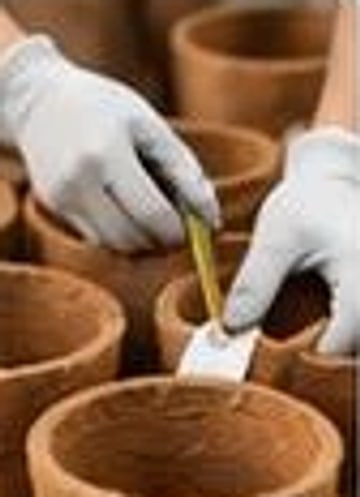 Gloved hands labelling coir pots during inspection